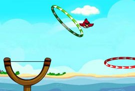 Angry Birds Slingshot Fun…